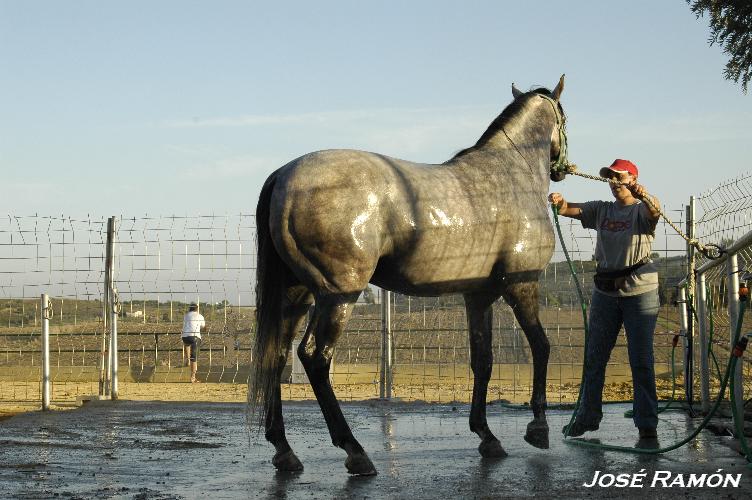 Foto de Trebujena (Cádiz), España