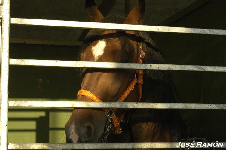 Foto de Trebujena (Cádiz), España