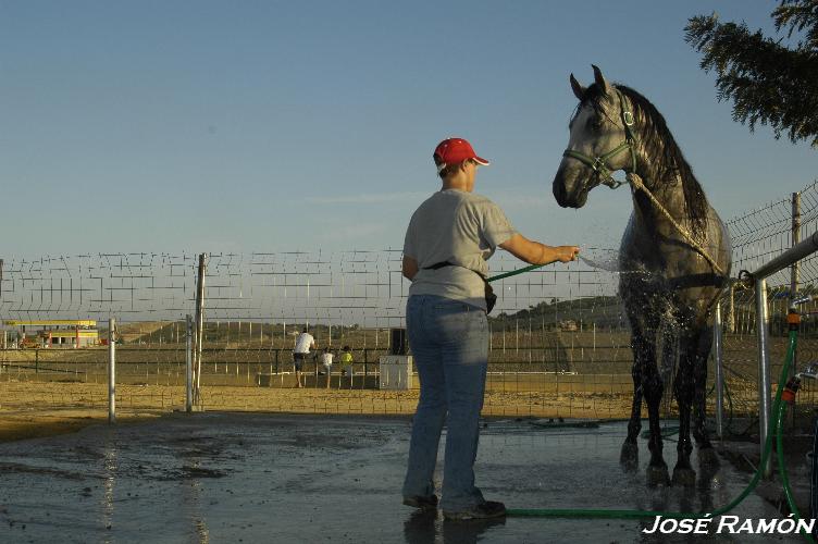 Foto de Trebujena (Cádiz), España
