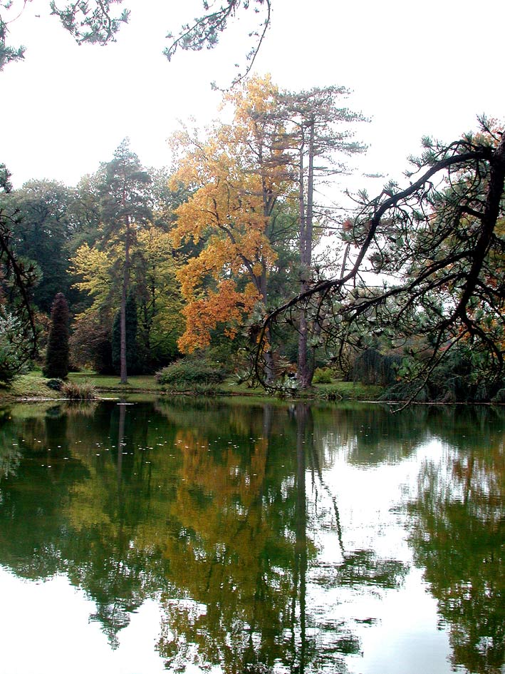 Foto de Courson-Monteloup, Francia