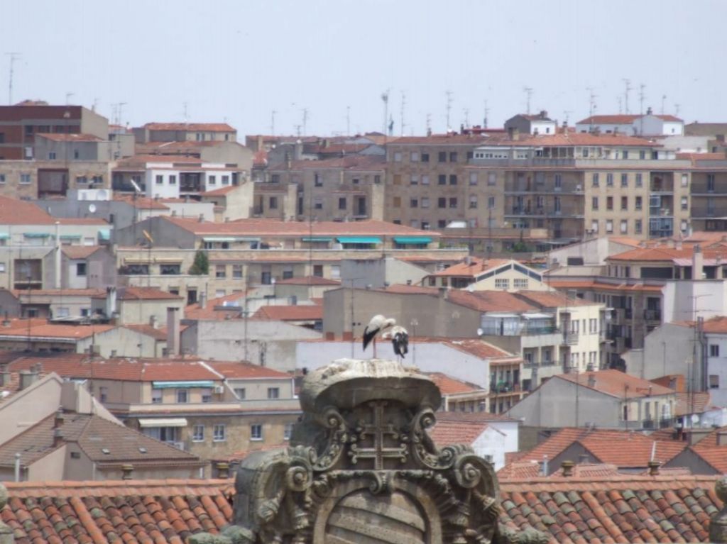 Foto de Salamanca (Castilla y León), España