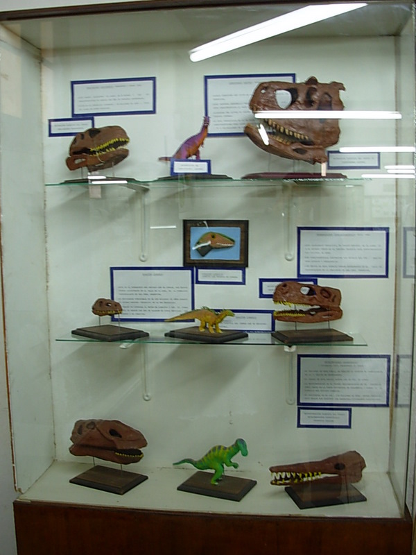 Foto de Vicuña, Chile