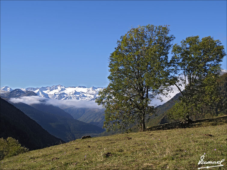 Foto de Arriu de Varrados (Lleida), España