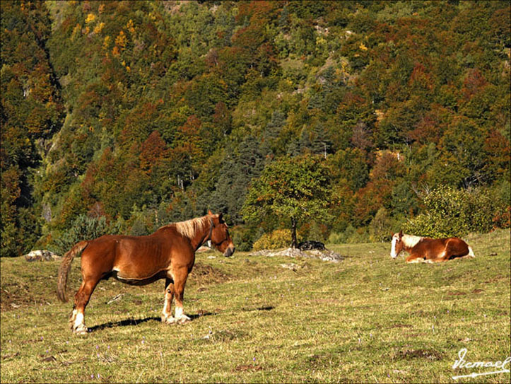 Foto de Arriu de Varrados (Lleida), España