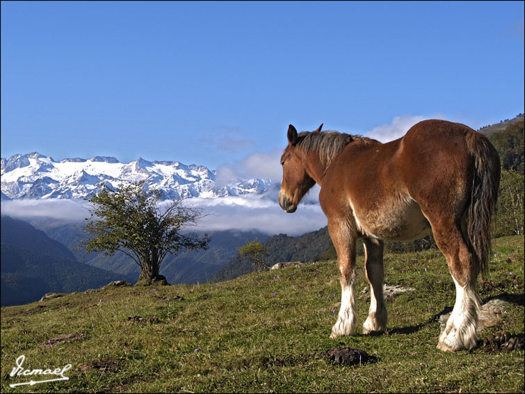 Foto de Arriu de Varrados (Lleida), España