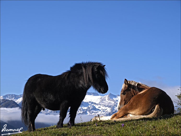 Foto de Arriu de Varrados (Lleida), España