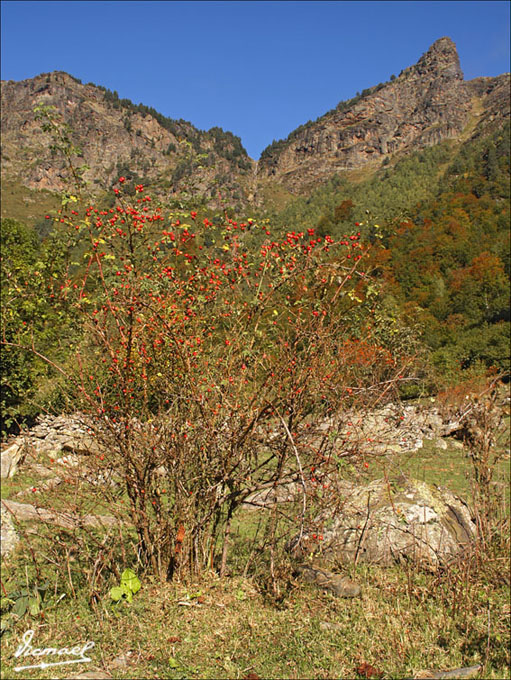 Foto de Arriu de Varrados (Lleida), España