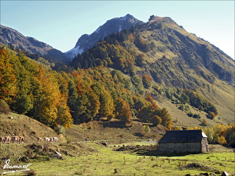 Foto de Arriu de Varrados (Lleida), España