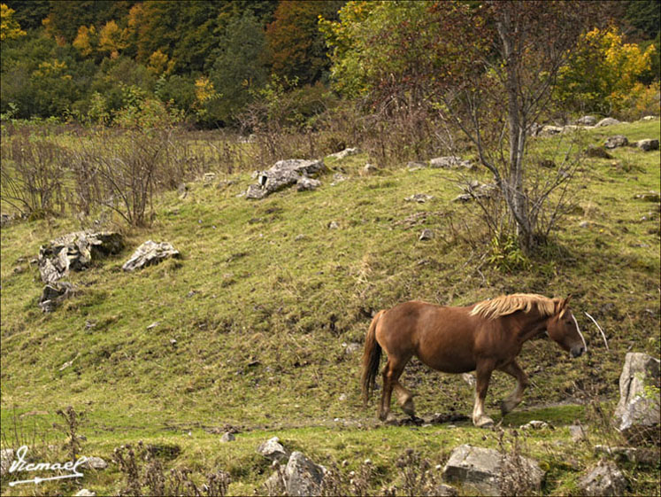 Foto de Es Bòrdes (Lleida), España