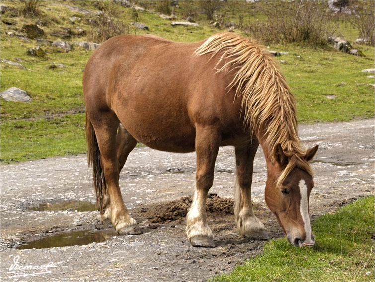 Foto de Es Bòrdes (Lleida), España