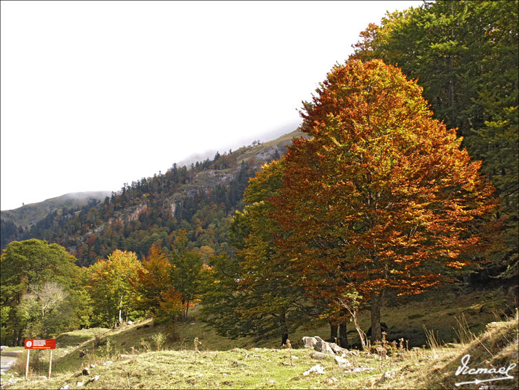 Foto de Es Bòrdes (Lleida), España