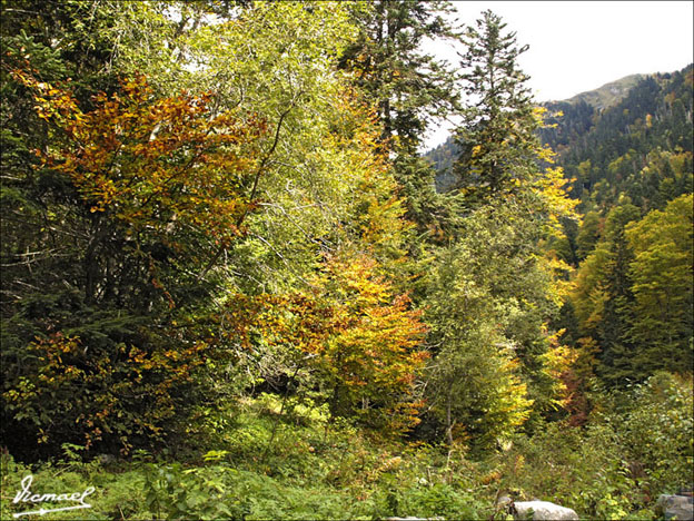 Foto de Es Bòrdes (Lleida), España