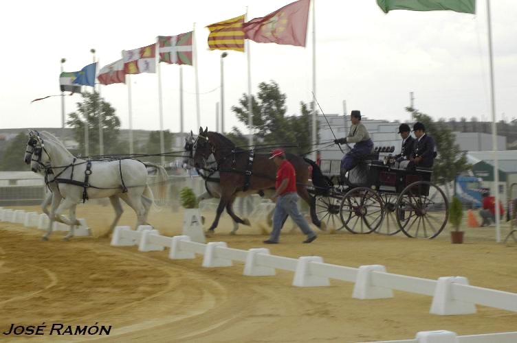 Foto de Trebujena (Cádiz), España