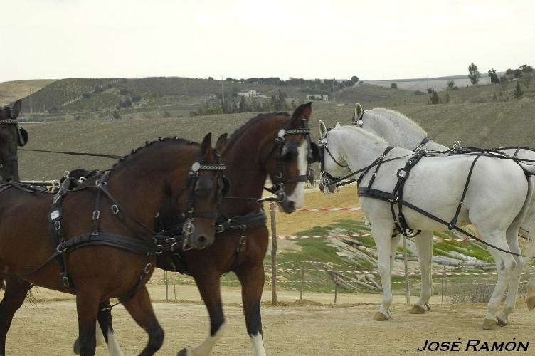 Foto de Trebujena (Cádiz), España