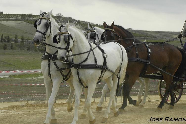 Foto de Trebujena (Cádiz), España