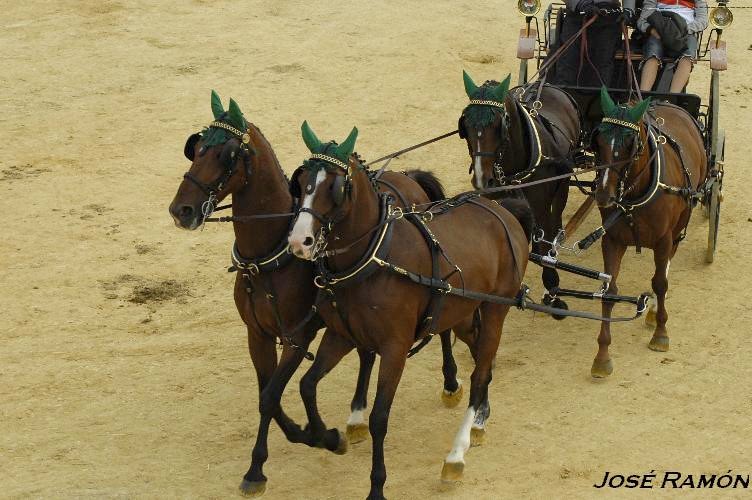 Foto de Trebujena (Cádiz), España