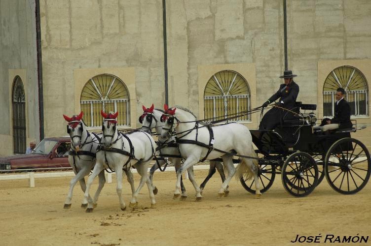 Foto de Trebujena (Cádiz), España