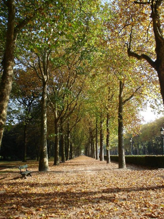 Foto de Bruselas, Bélgica