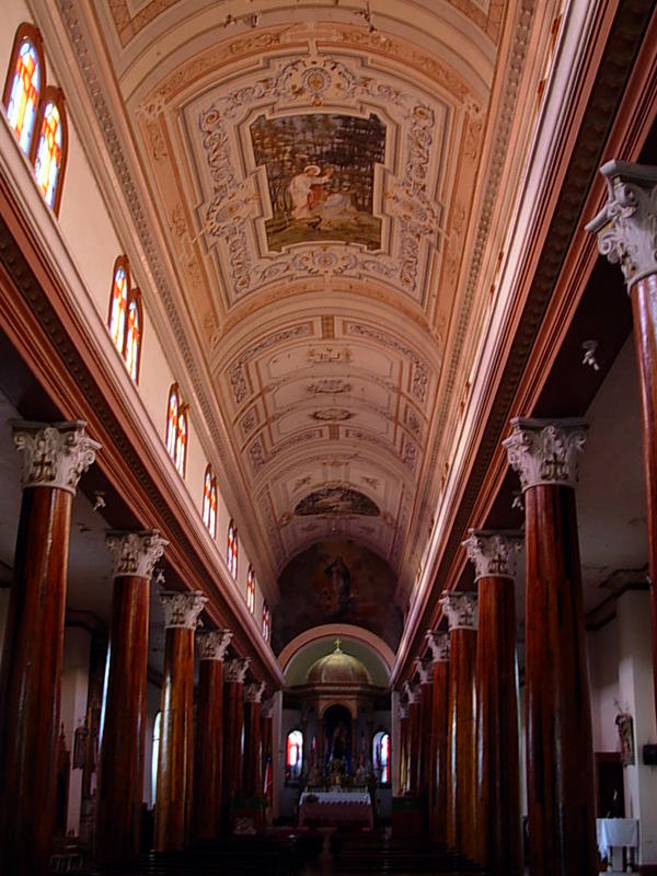 Foto de Vicuña, Chile