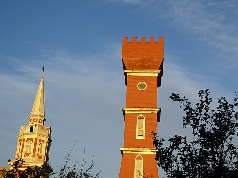 Foto de Vicuña, Chile