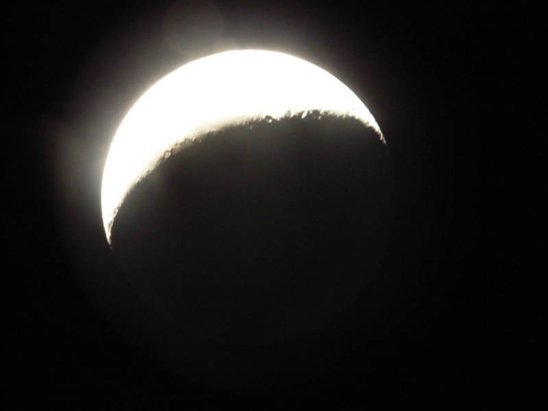 Foto de Vicuña, Chile