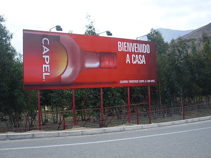 Foto de Vicuña, Chile