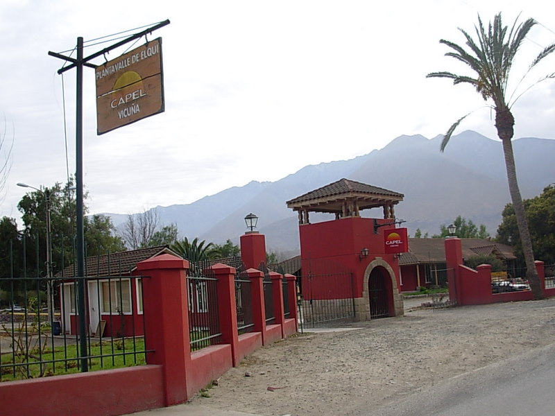 Foto de Vicuña, Chile