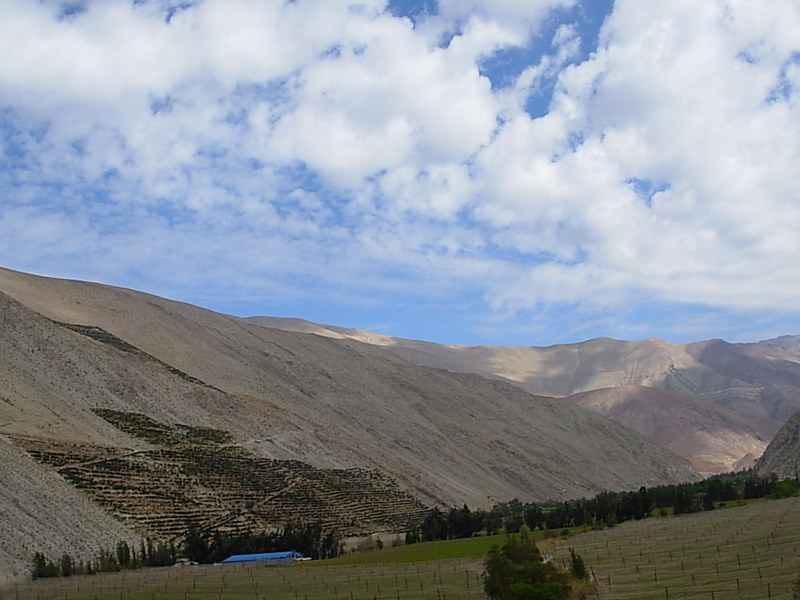 Foto de Paihuano, Chile