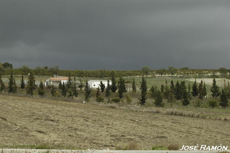 Foto de Trebujena (Cádiz), España