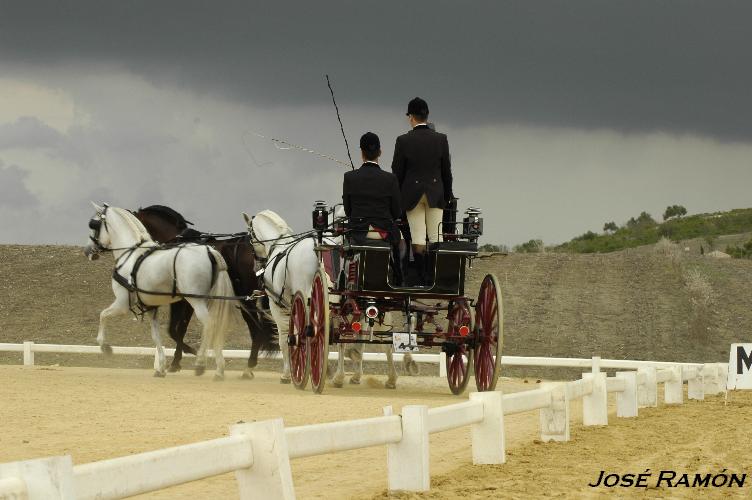 Foto de Trebujena (Cádiz), España