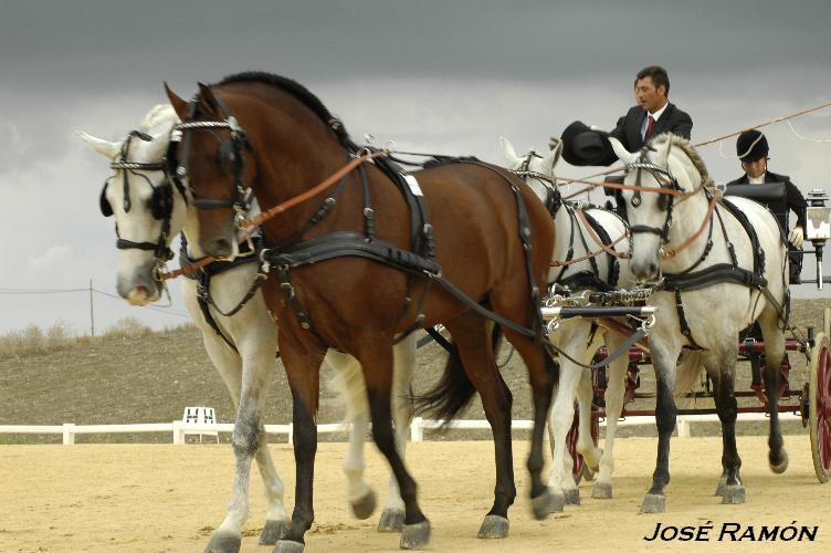 Foto de Trebujena (Cádiz), España
