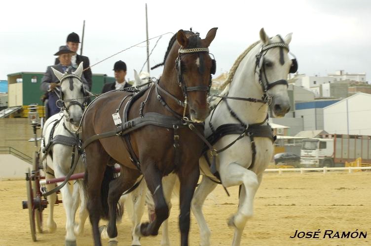 Foto de Trebujena (Cádiz), España