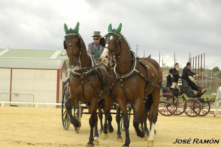 Foto de Trebujena (Cádiz), España