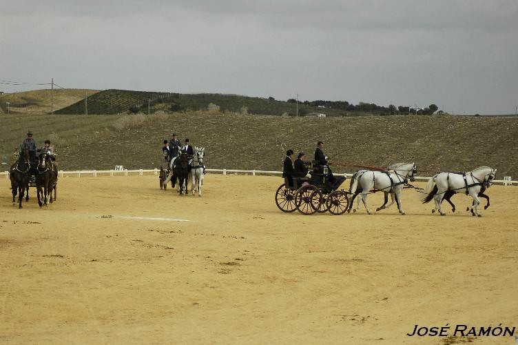Foto de Trebujena (Cádiz), España