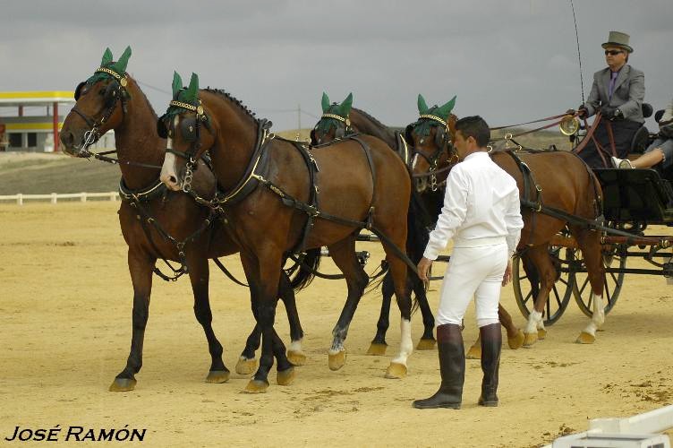 Foto de Trebujena (Cádiz), España