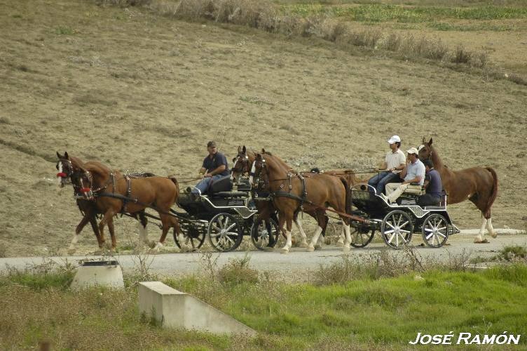 Foto de Trebujena (Cádiz), España