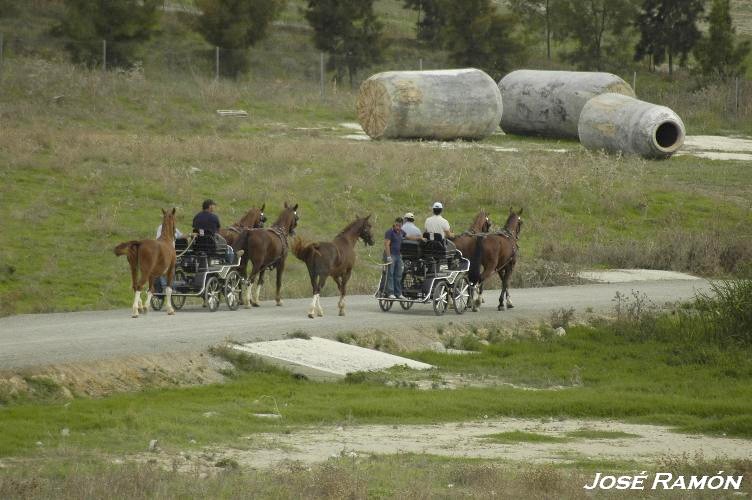 Foto de Trebujena (Cádiz), España