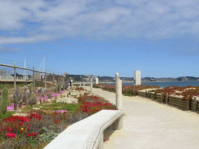 Foto de Algarrobo, Chile