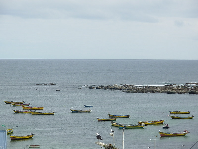 Foto de Algarrobo, Chile