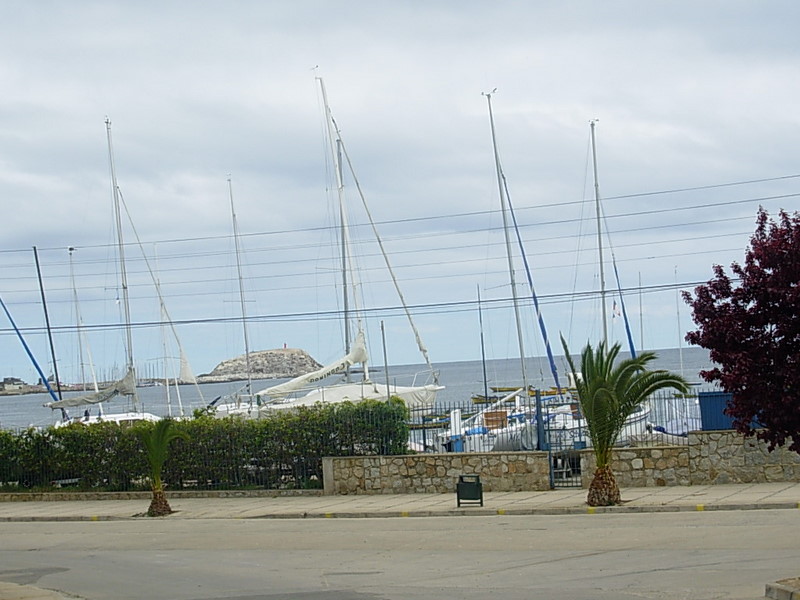 Foto de Algarrobo, Chile