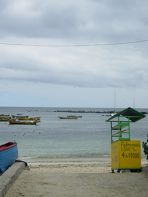 Foto de Algarrobo, Chile