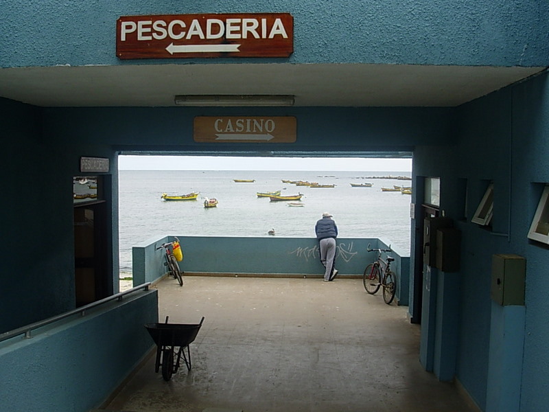 Foto de Algarrobo, Chile