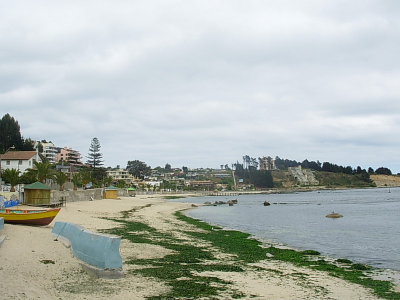 Foto de Algarrobo, Chile