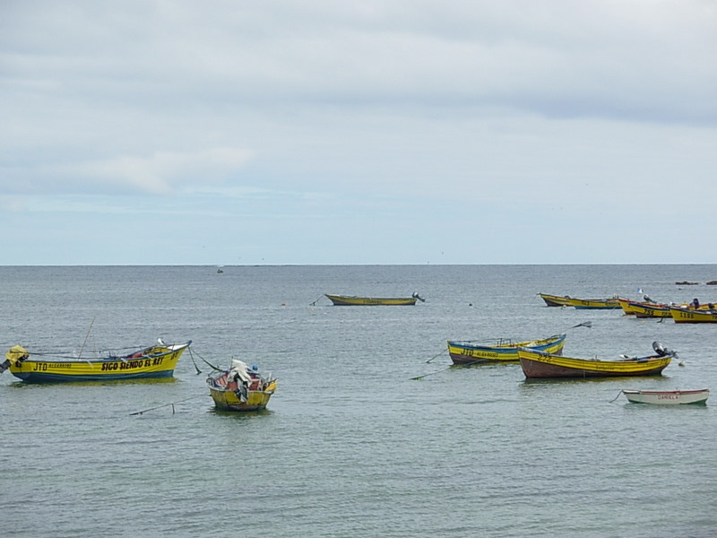 Foto de Algarrobo, Chile