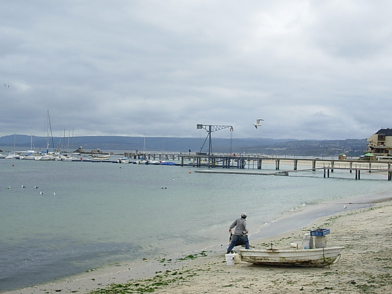 Foto de Algarrobo, Chile