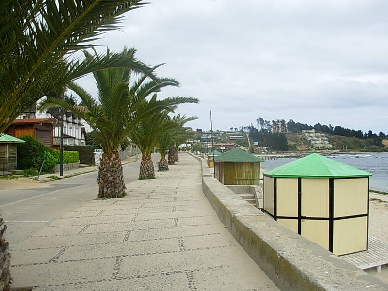 Foto de Algarrobo, Chile