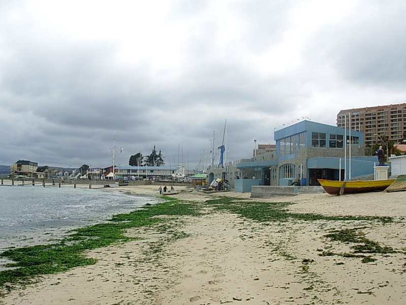 Foto de Algarrobo, Chile