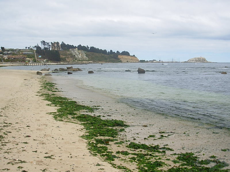 Foto de Algarrobo, Chile