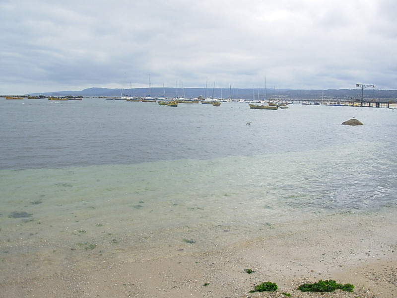 Foto de Algarrobo, Chile
