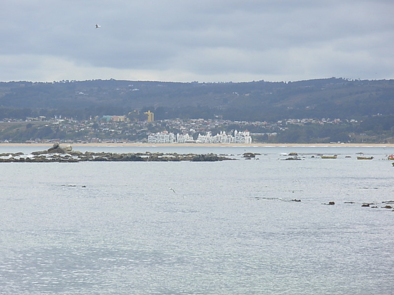 Foto de Algarrobo, Chile